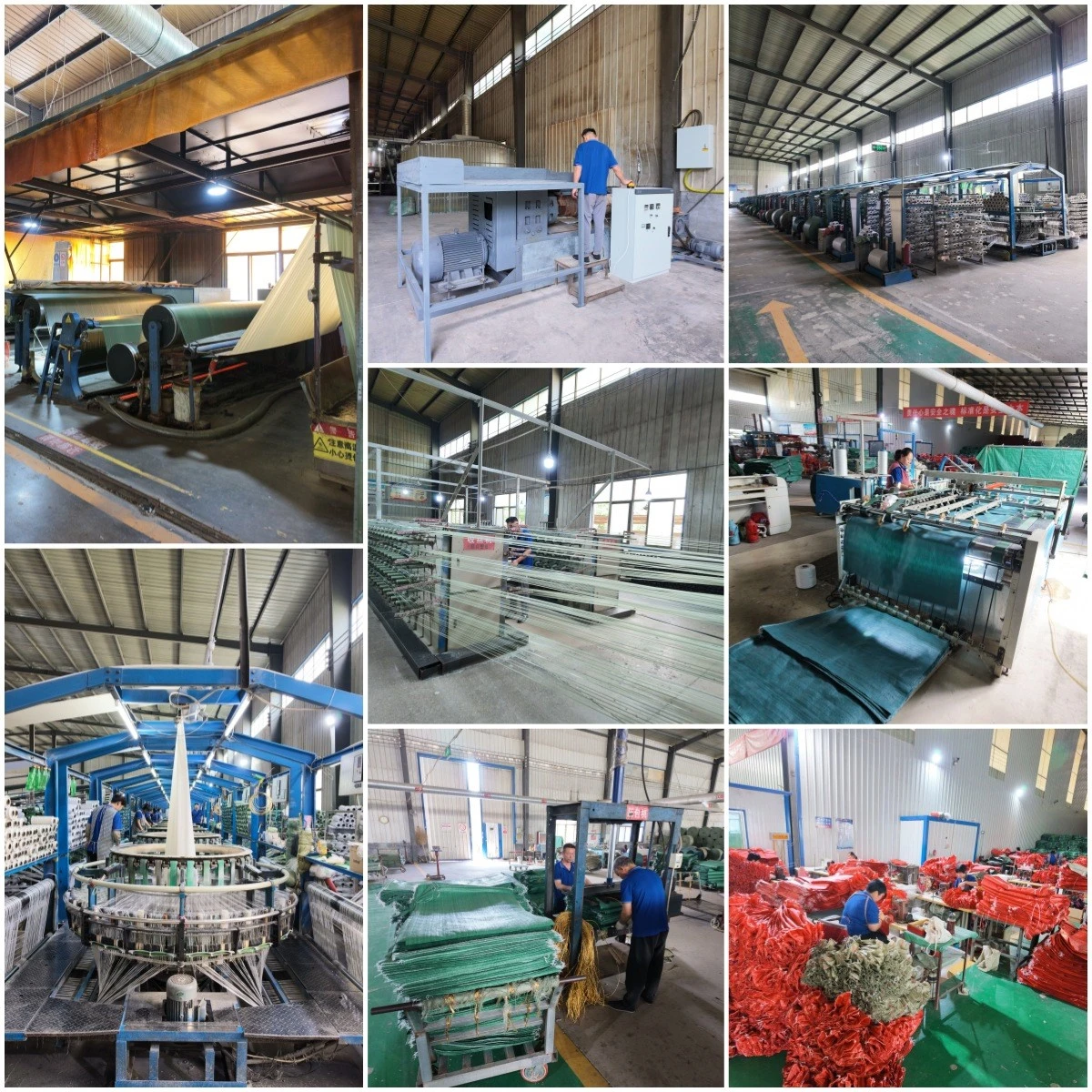 product-1200-1200 product-1200-1200